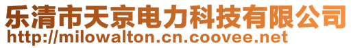 樂清市天京電力科技有限公司