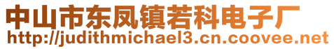 中山市東鳳鎮(zhèn)若科電子廠