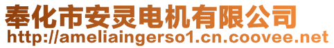 奉化市安靈電機(jī)有限公司