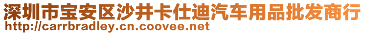 深圳市寶安區(qū)沙井卡仕迪汽車用品批發(fā)商行