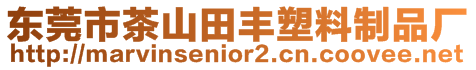 東莞市茶山田豐塑料制品廠