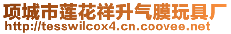 項城市蓮花祥升氣膜玩具廠