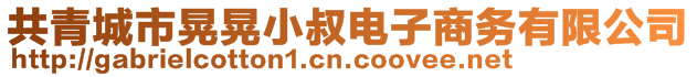 共青城市晃晃小叔電子商務(wù)有限公司