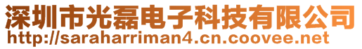 深圳市光磊電子科技有限公司