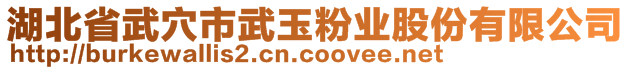 湖北省武穴市武玉粉業(yè)股份有限公司