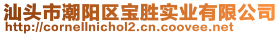 汕頭市潮陽(yáng)區(qū)寶勝實(shí)業(yè)有限公司