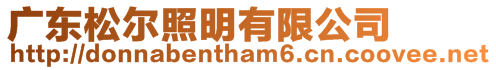 廣東松爾照明有限公司