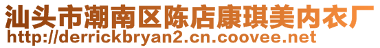 汕頭市潮南區(qū)陳店康琪美內(nèi)衣廠