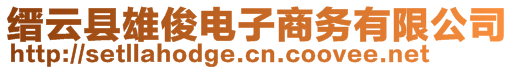 縉云縣雄俊電子商務(wù)有限公司