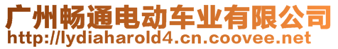 廣州暢通電動(dòng)車業(yè)有限公司