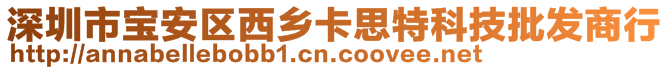 深圳市寶安區(qū)西鄉(xiāng)卡思特科技批發(fā)商行