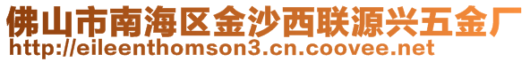 佛山市南海區(qū)金沙西聯(lián)源興五金廠