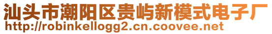 汕頭市潮陽區(qū)貴嶼新模式電子廠