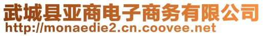 武城縣亞商電子商務(wù)有限公司