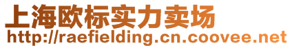 上海歐標實力賣場