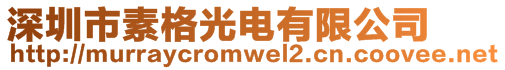 深圳市素格光電有限公司