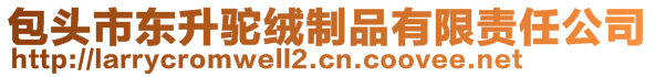 包頭市東升駝絨制品有限責任公司