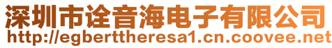 深圳市詮音海電子有限公司