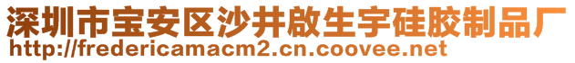 深圳市寶安區(qū)沙井啟生宇硅膠制品廠