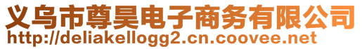 義烏市尊昊電子商務(wù)有限公司