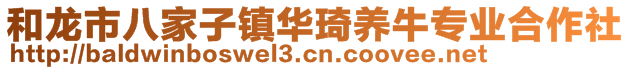 和龙市八家子镇华琦养牛专业合作社