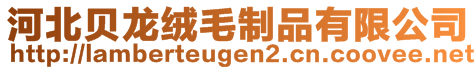 河北貝龍絨毛制品有限公司