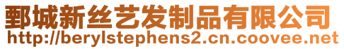 鄄城新絲藝發(fā)制品有限公司