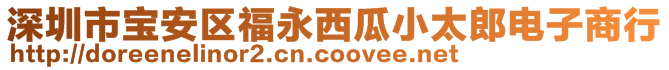 深圳市寶安區福永西瓜小太郎電子商行