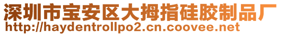 深圳市寶安區(qū)大拇指硅膠制品廠