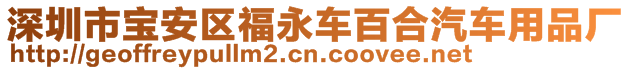 深圳市寶安區(qū)福永車百合汽車用品廠