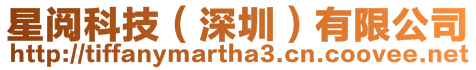 星閱科技(深圳)有限公司