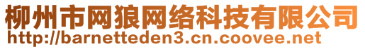 柳州市網(wǎng)狼網(wǎng)絡(luò)科技有限公司