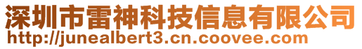 深圳市雷神科技信息有限公司