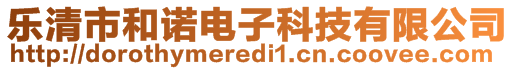 樂(lè)清市和諾電子科技有限公司