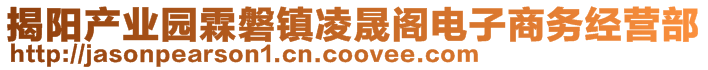 揭陽產(chǎn)業(yè)園霖磐鎮(zhèn)凌晟閣電子商務(wù)經(jīng)營(yíng)部