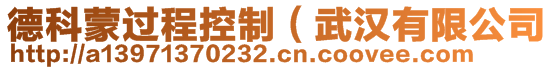 德科蒙過程控制（武漢有限公司