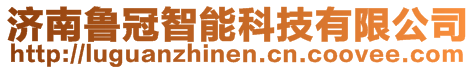 濟(jì)南魯冠智能科技有限公司