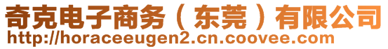 奇克電子商務(wù)（東莞）有限公司