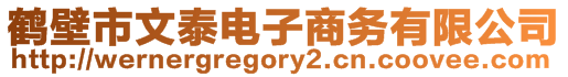 鶴壁市文泰電子商務有限公司