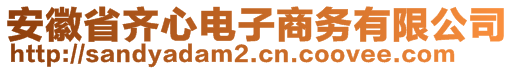 安徽省齊心電子商務(wù)有限公司