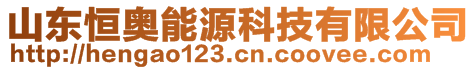 山东恒奥能源科技有限公司