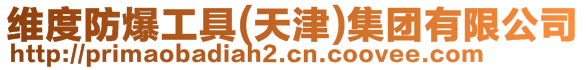 維度防爆工具(天津)集團(tuán)有限公司