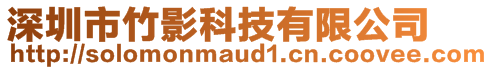 深圳市竹影科技有限公司