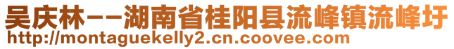 吳慶林--湖南省桂陽縣流峰鎮(zhèn)流峰圩