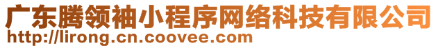 廣東騰領(lǐng)袖小程序網(wǎng)絡(luò)科技有限公司