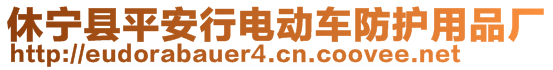 休寧縣平安行電動車防護用品廠