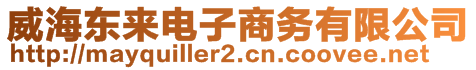 威海東來電子商務(wù)有限公司