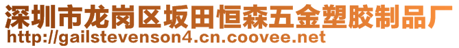 深圳市龍崗區(qū)坂田恒森五金塑膠制品廠