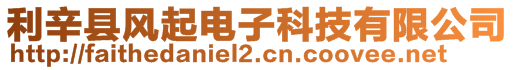 利辛縣風(fēng)起電子科技有限公司