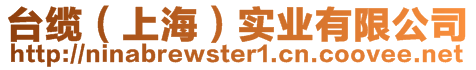 臺纜（上海）實業(yè)有限公司